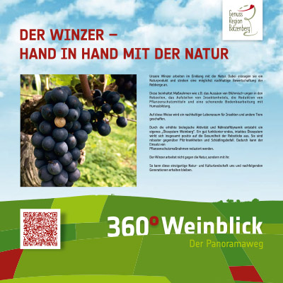 Der Winzer – Hand in Hand mit der Natur