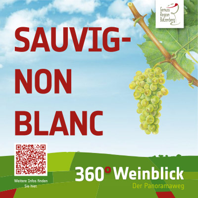 Sauvignon Blanc